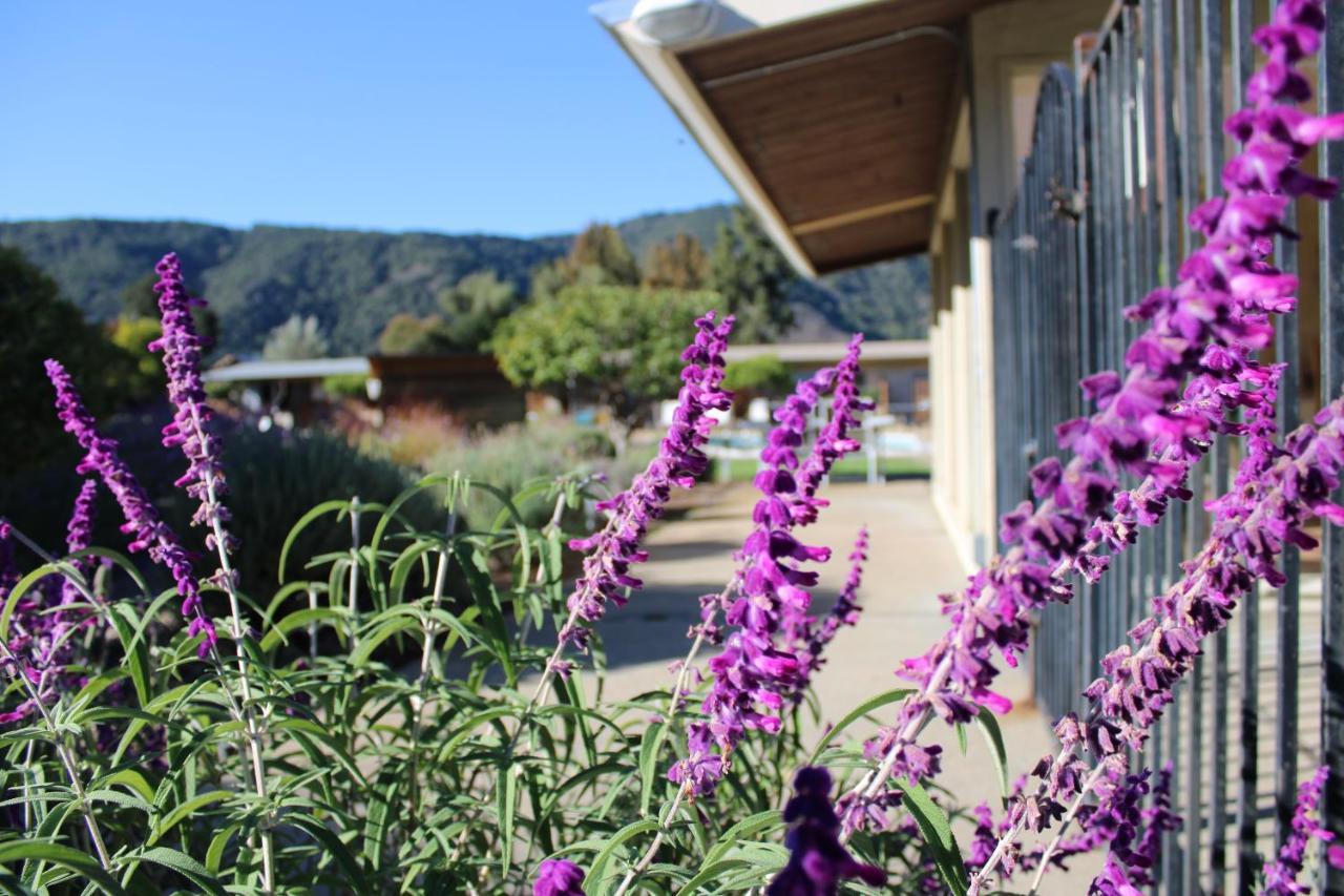 Contenta Inn Carmel Valley Luaran gambar