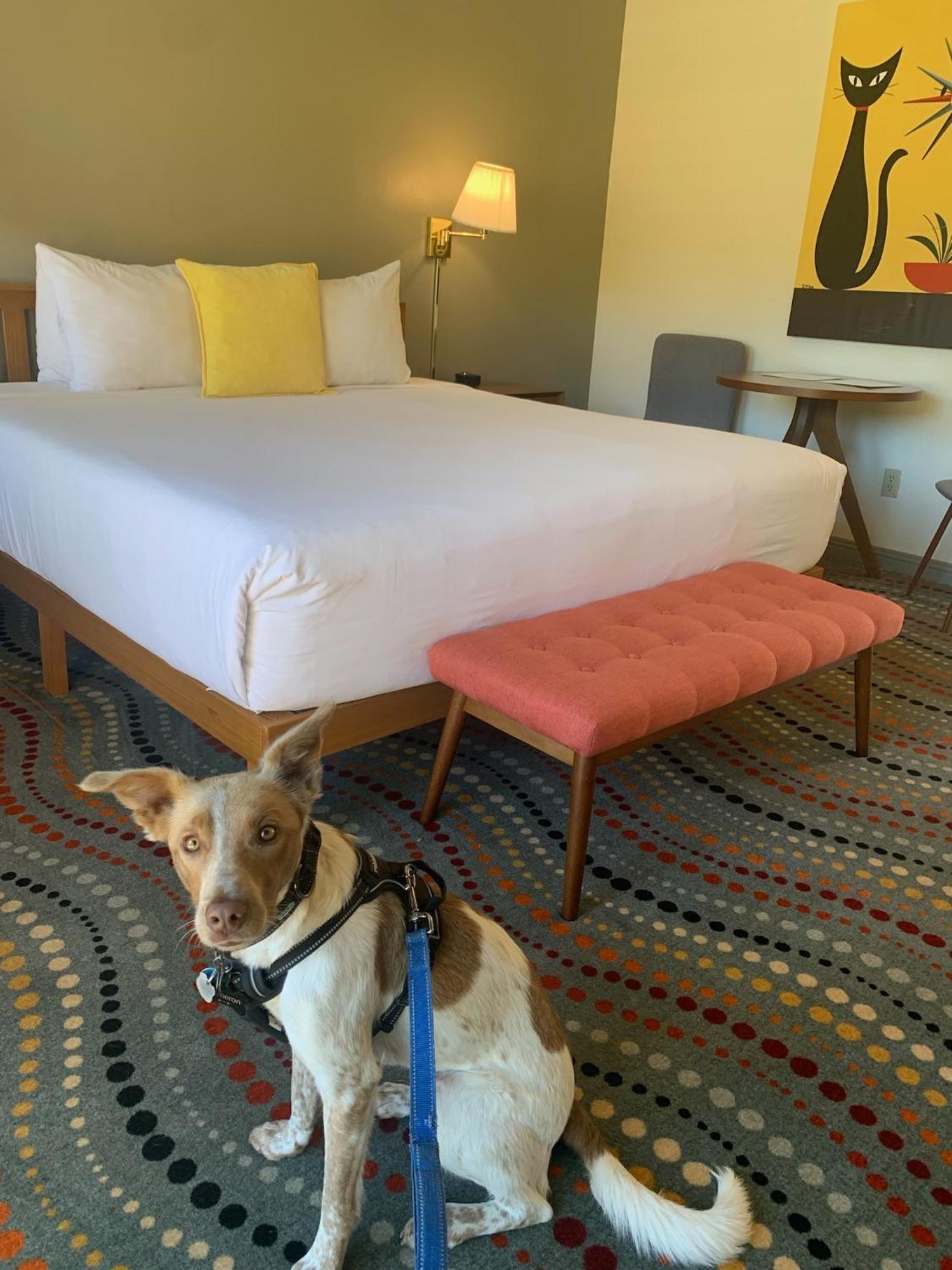 Contenta Inn Carmel Valley Luaran gambar